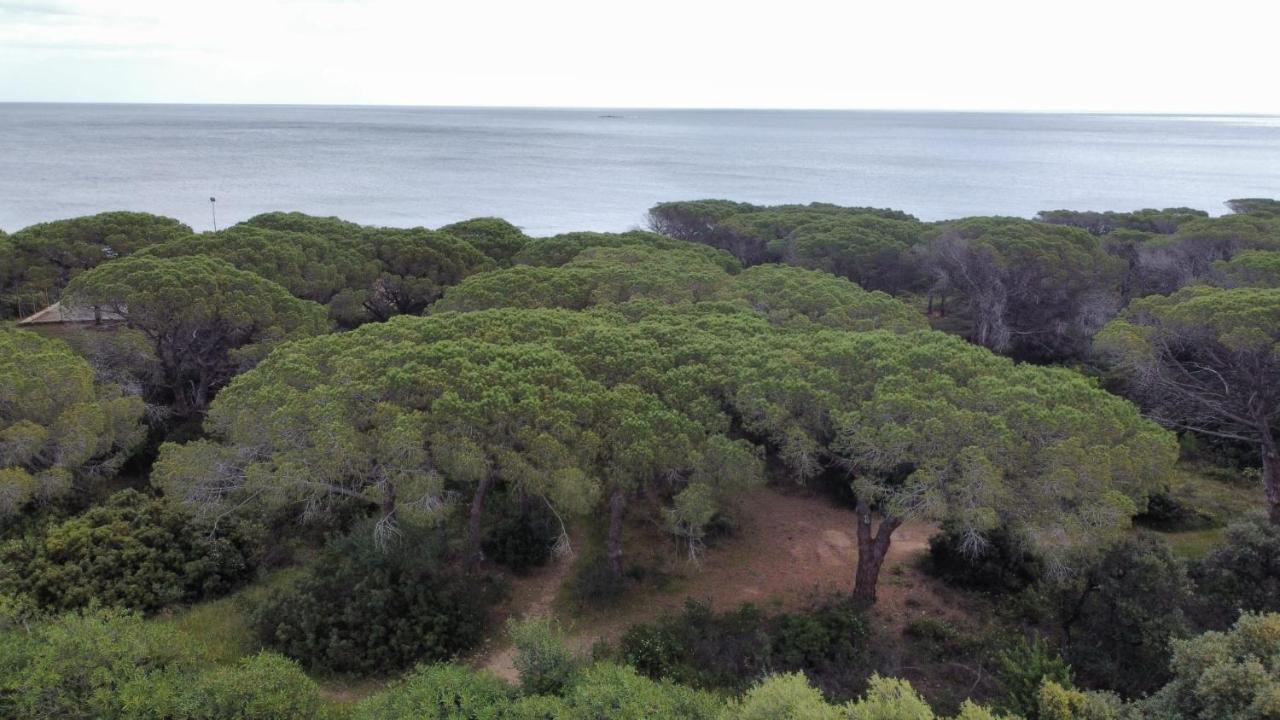 Le Pavoncelle Βίλα Budoni Εξωτερικό φωτογραφία
