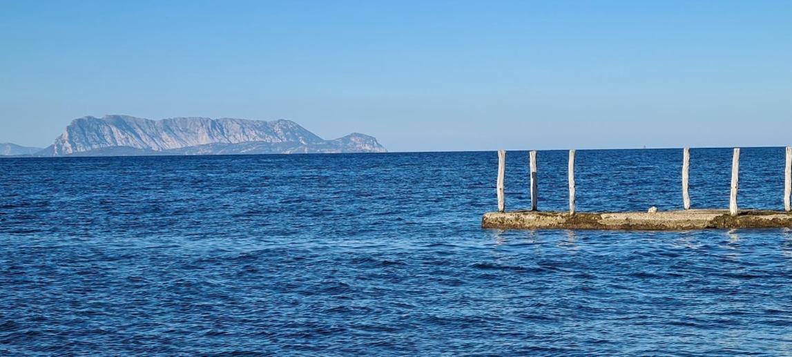 Le Pavoncelle Βίλα Budoni Εξωτερικό φωτογραφία