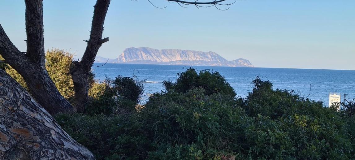 Le Pavoncelle Βίλα Budoni Εξωτερικό φωτογραφία